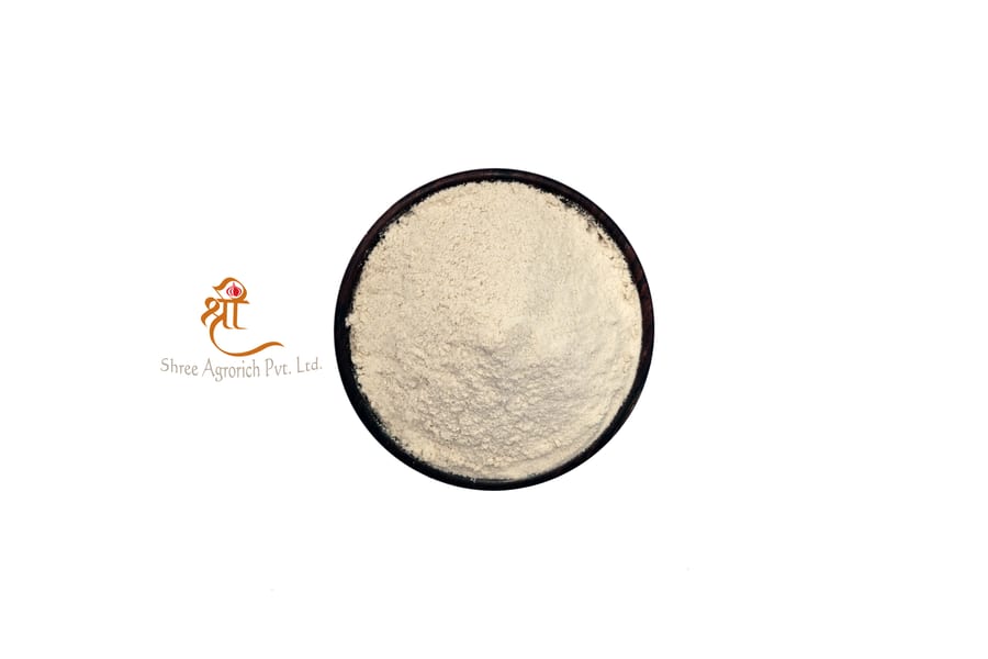 Dehydrated white onion powder, finely milled, export-grade from Gujarat, India